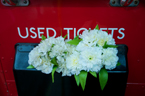 Cambridgeshire wedding photographer